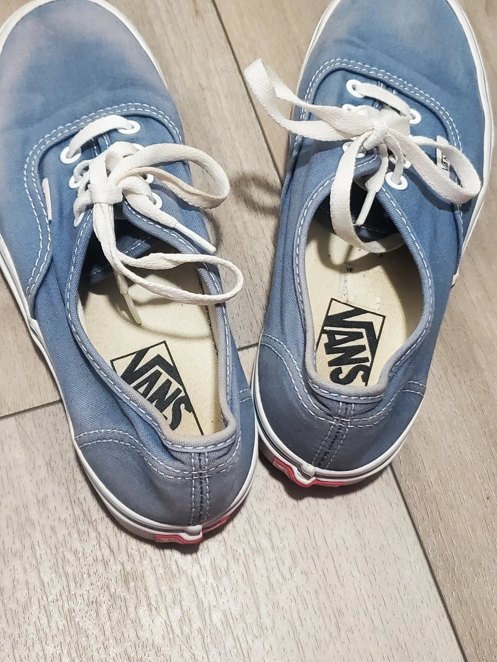 Vans Authentic Low Top Sneakers in Light Blue